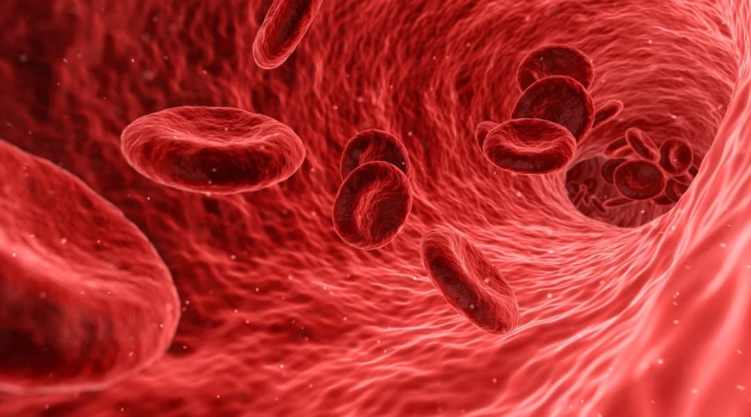 चेहरे पर Period Blood क्यों लगा रही हैं महिलाएं? डॉक्टर से जानें सच