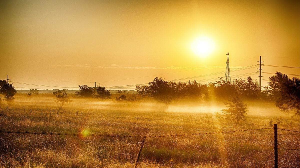 IMD: 5-6 दिनों में तापमान 39 डिग्री सेल्सियस तक पहुंच सकता है !