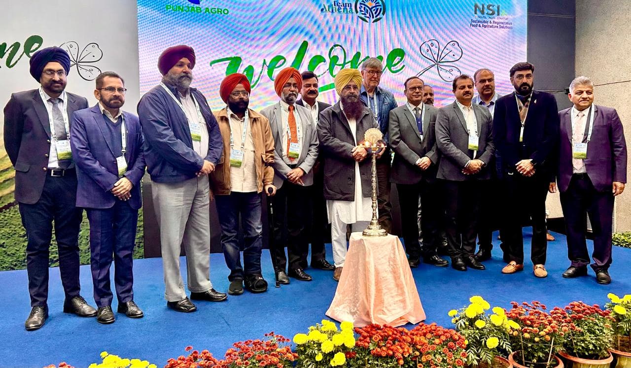 Alfalfa चारे की काशत से बढ़ाई जाएगी पशुधन की उत्पादकता