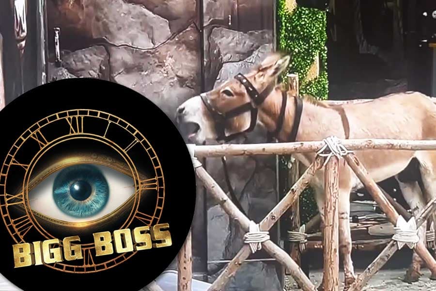 PETA ने सलमान खान को लिखा, Bigg Boss 18 से गधा हटाओ