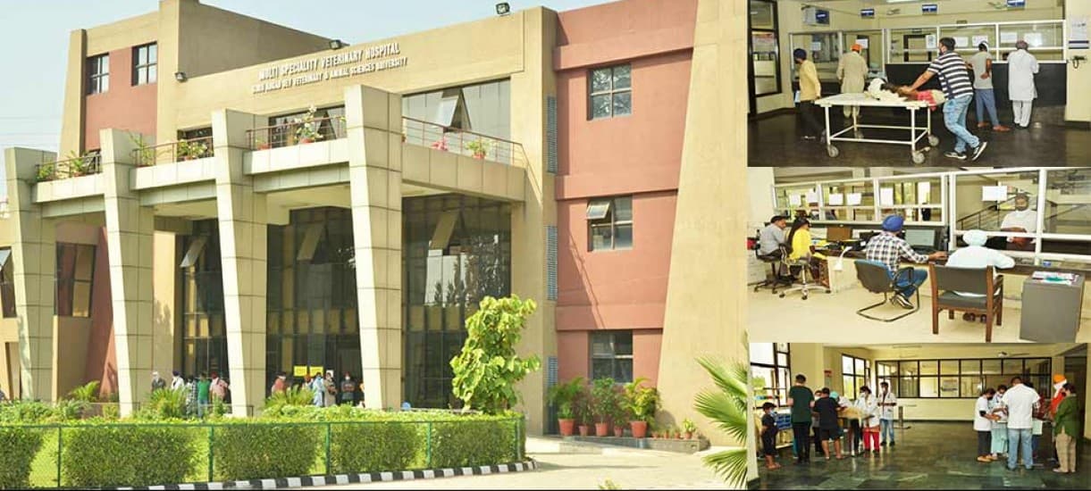 जतिन्दर पाल सिंह गिल बने GADVASU के VC