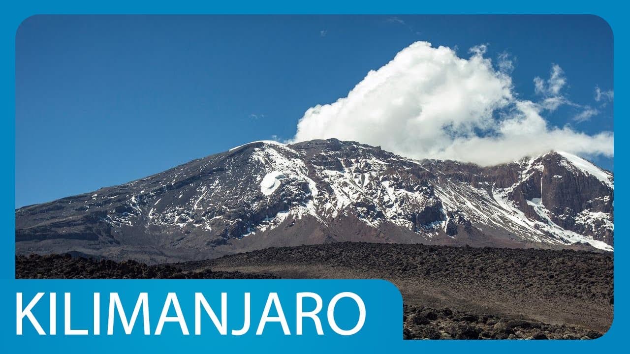 Mount Kilimanjaro : 05 साल के तेगबीर ने फ़तेह की अफ्रीका की सबसे ऊंची चोटी