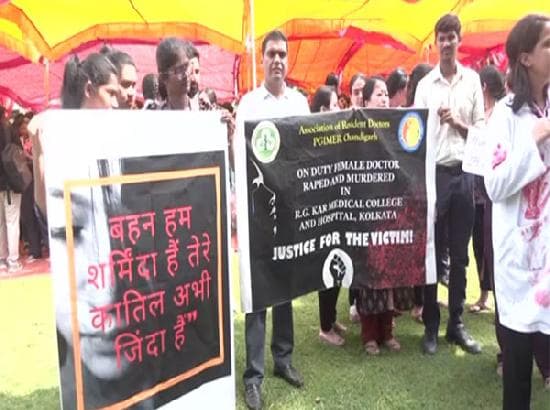 Chandigarh PGIMER : कोलकाता डॉक्टर Rape & Murder मामले में डॉक्टरों का विरोध प्रदर्शन जारी