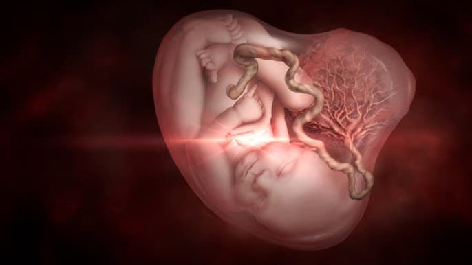 Stillbirth : Pestisides से मृत बच्चा होने का डर, पढ़ें स्टडी