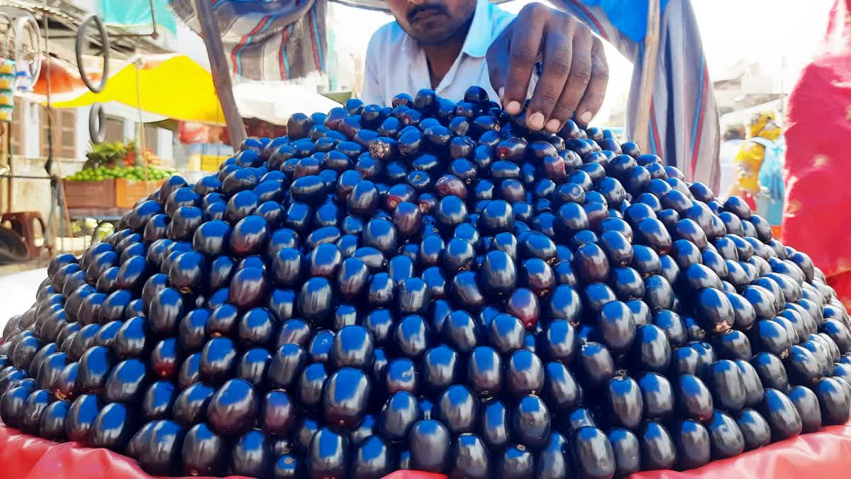 JAMUN: औषधीय गुणों के कारण इसे अमृत कहा गया है