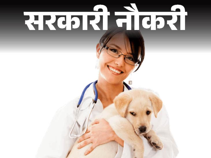 Veterinary Officers : पंजाब में 300 की भर्ती जल्द