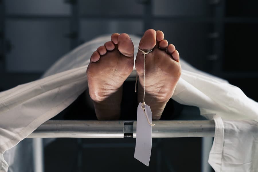 IT Professional : मरने के तरीकों पर रिसर्च की, फिर नाइट्रोजन पी जान दी