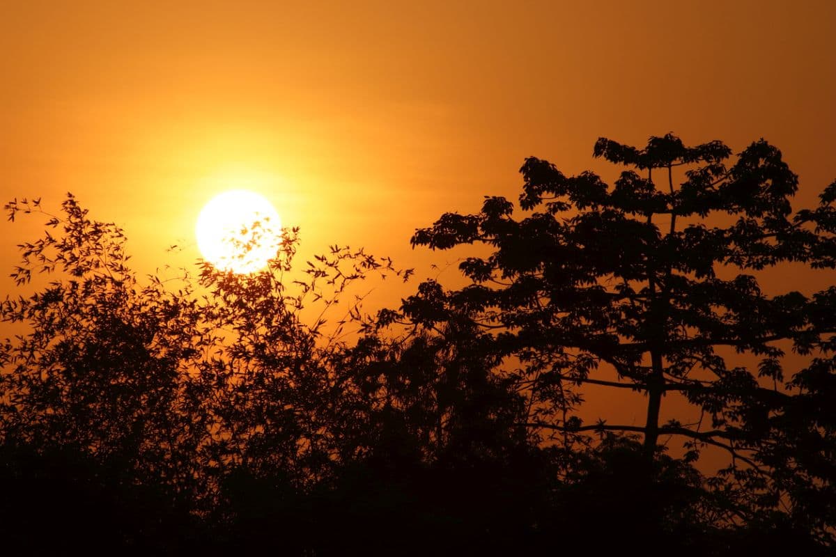 RED ALERT : पंजाब, हरियाणा, दिल्ली सहित कई राज्यों में Heat wave की Warning
