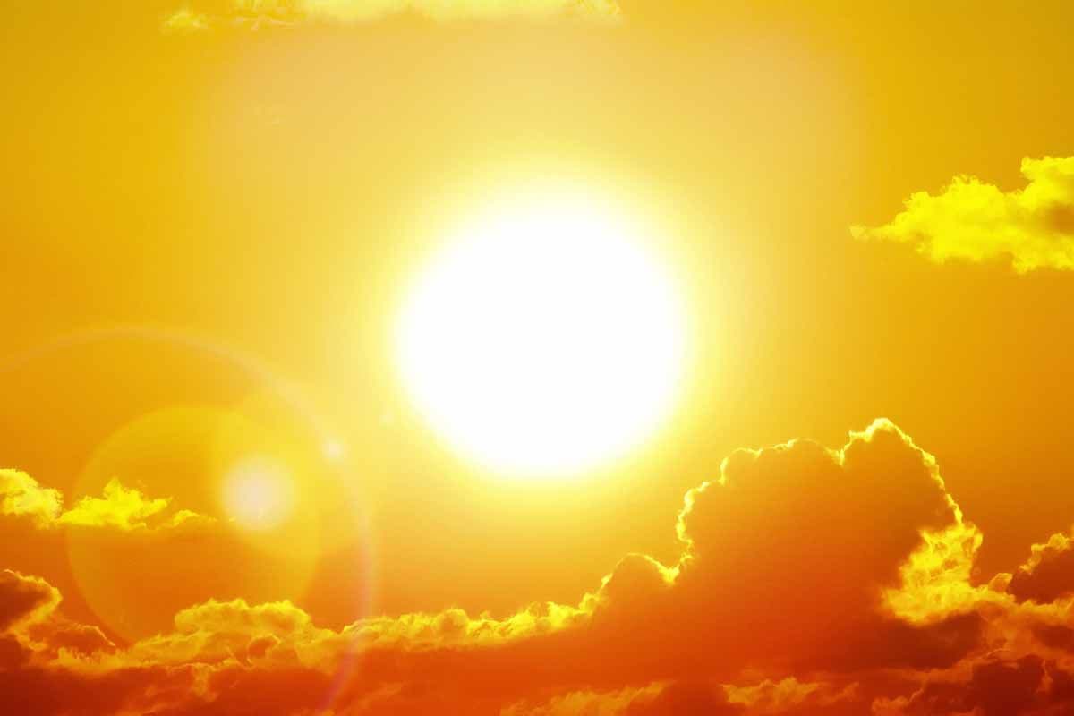 Heatwaves : पंजाब में गर्मी के दिन बढ़े, बारिश में 20 फीसदी कमी