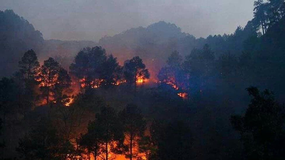 Burning Forest: पिथौरागढ़ में आग बेकाबू, 300 जगह धधक रहे जंगल