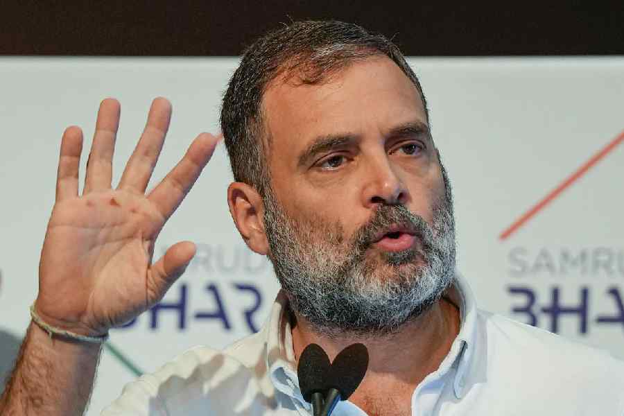 Rahul Gandhi रायबरेली, उनके वफादार केएल शर्मा अमेठी से लड़ेंगे चुनाव