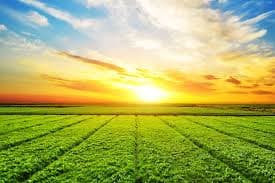 WEATHER UPDATE : अप्रैल कभी इतना गर्म नहीं रहा, 123 साल का रिकॉर्ड टूटा