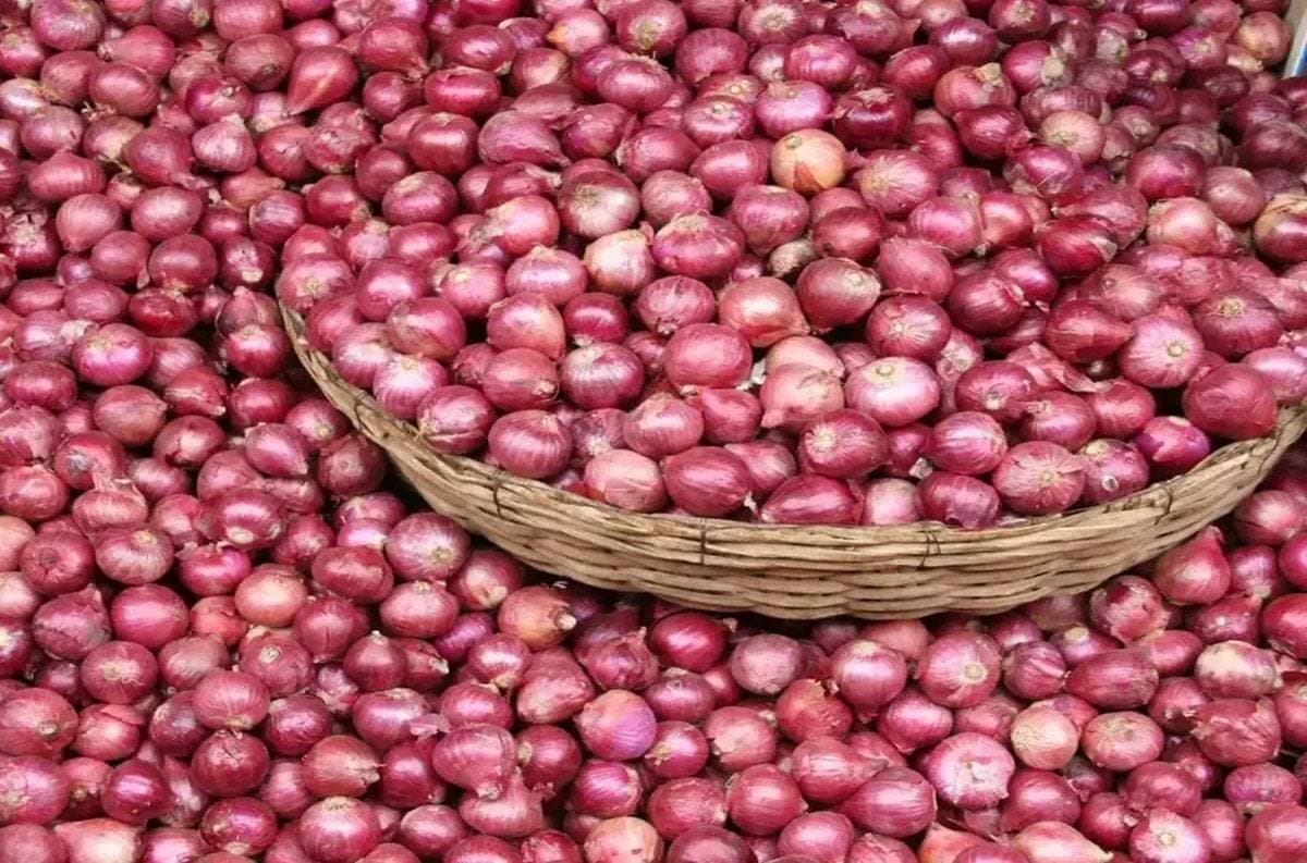 भारत ने श्रीलंका को 10,000 टन Onion Export की मंजूरी दी