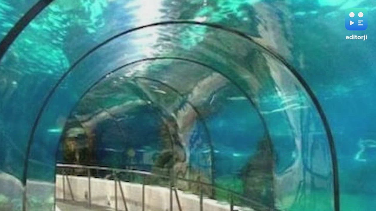 भारत की पहली अंडर वाटर मेट्रो सेवाएं आज से, कोलकाता से शुरुआत