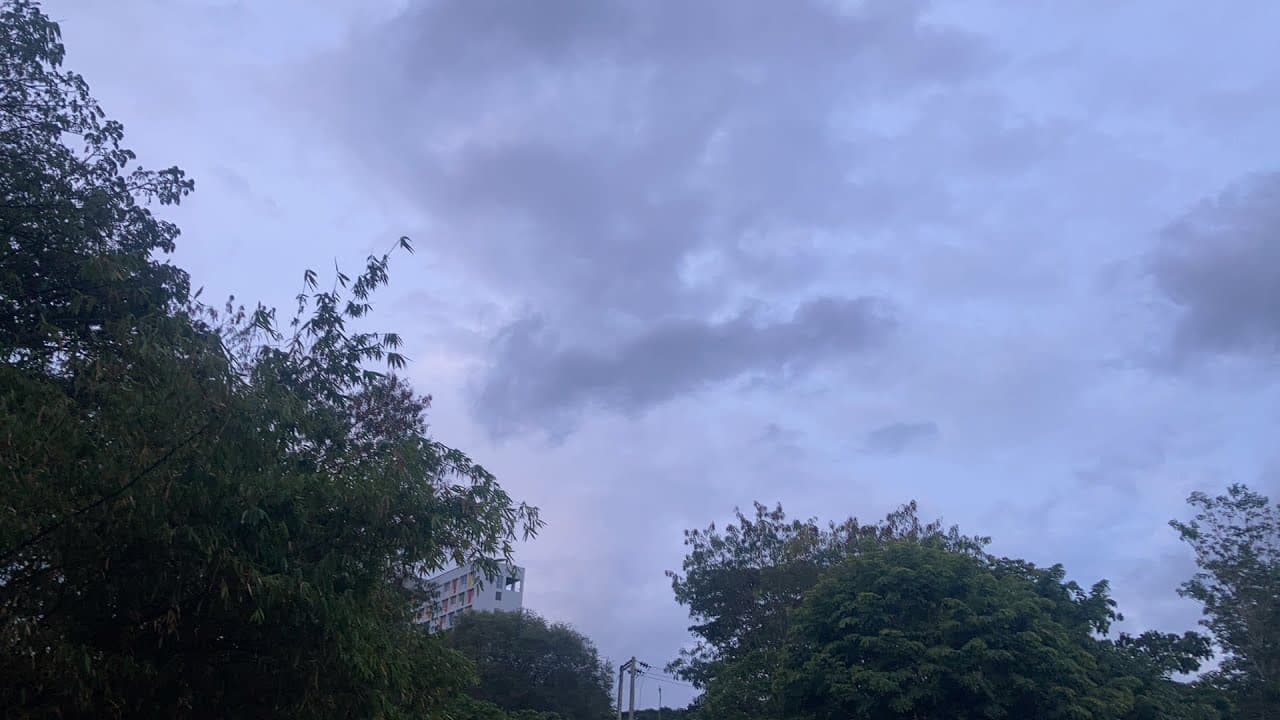 पंजाब, दिल्ली-एनसीआर और अन्य उत्तरी राज्यों में 21 फरवरी तक बारिश की संभावना