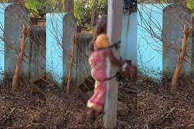 बेटे के खेत से बिना बताए गोभी ली, 70 साल की मां को खंभे से बांध पीटा: बेटे पर हत्या के प्रयास का केस दर्ज