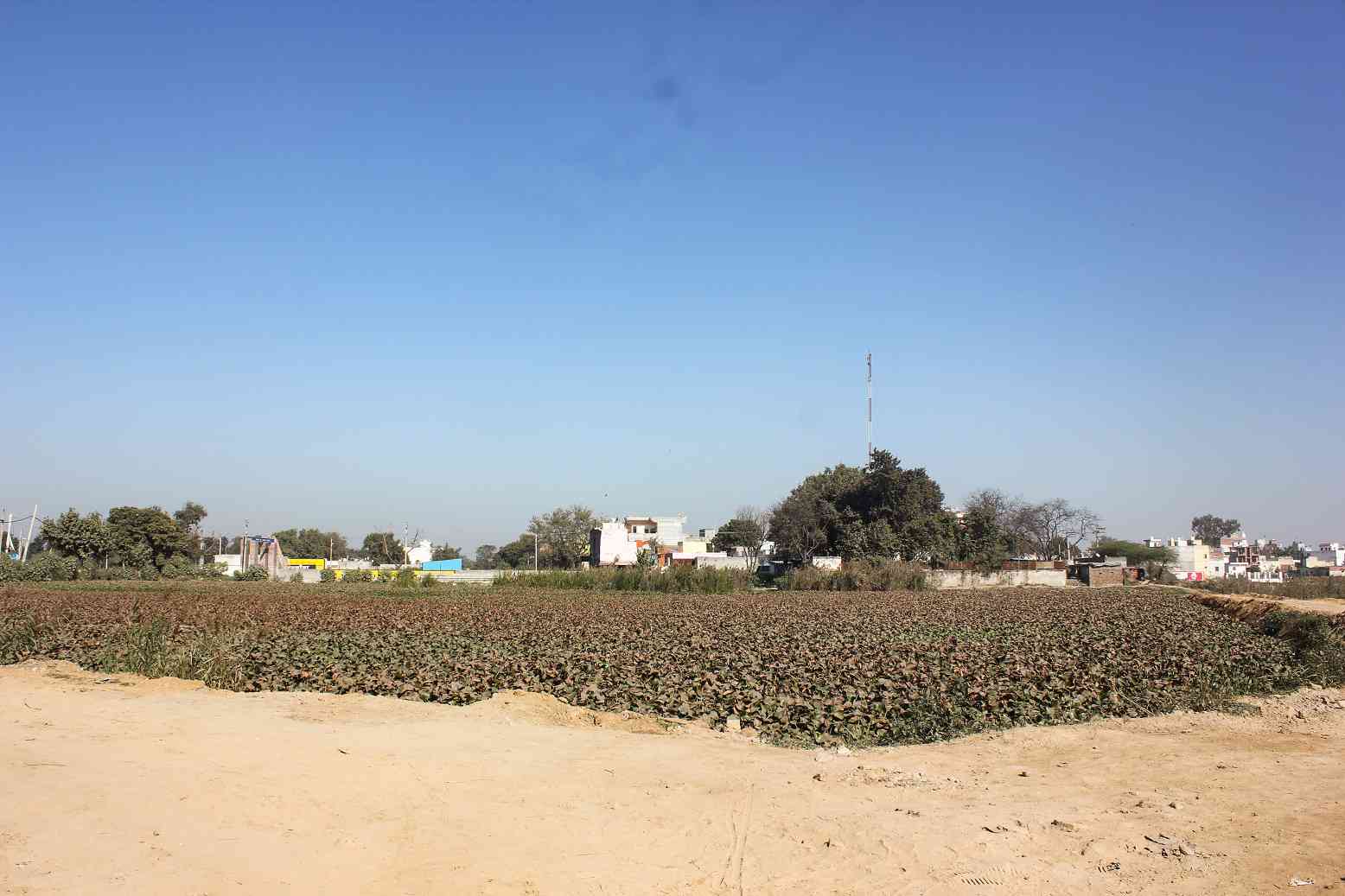 LAND MAFIA : इन 8 गांवों में जमीन की खरीद-बिक्री पर रोक, दलाल मुनाफे के लिए करते हैं गड़बड़ी