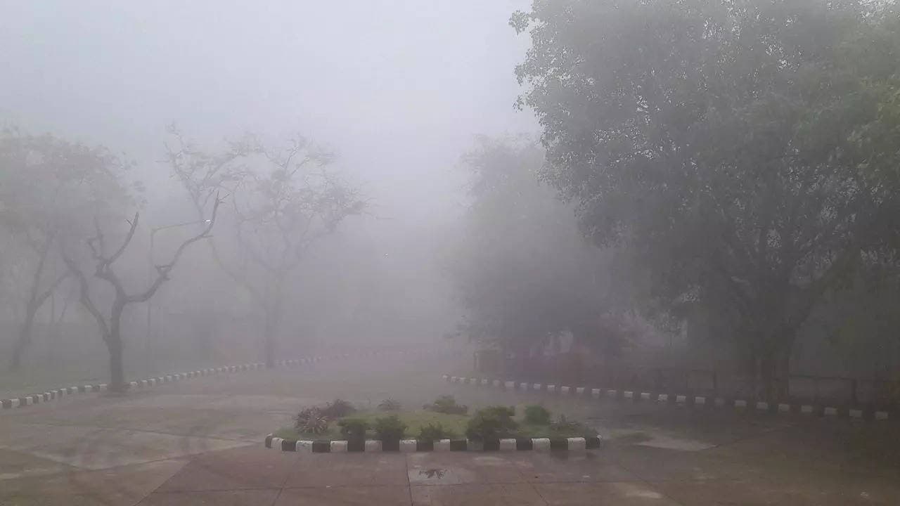घने कोहरे के कारण दिल्ली हवाईअड्डे पर 30 उड़ानों में देरी, अगले सप्ताह तक भी मौसम ऐसे रहने की आशंका